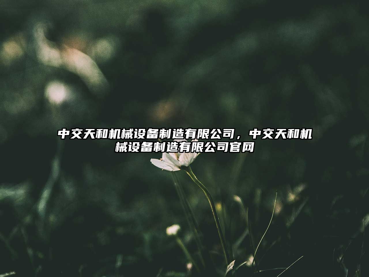 中交天和機械設備制造有限公司，中交天和機械設備制造有限公司官網(wǎng)