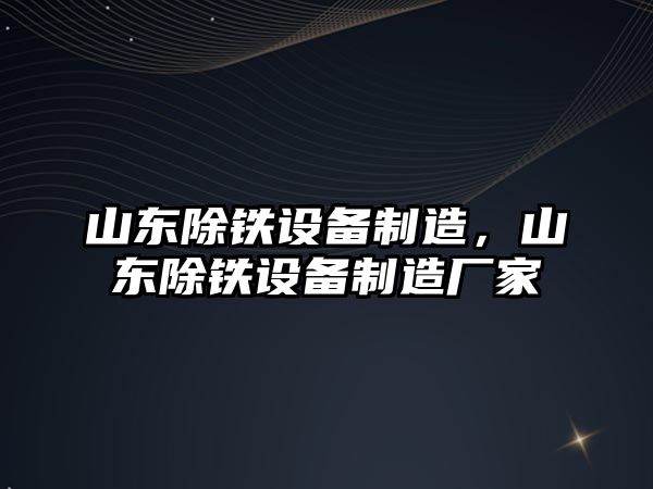 山東除鐵設備制造，山東除鐵設備制造廠(chǎng)家