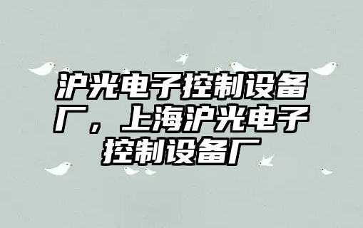 滬光電子控制設備廠(chǎng)，上海滬光電子控制設備廠(chǎng)