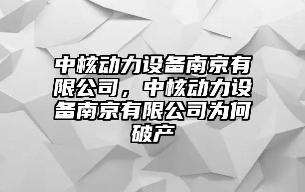 中核動(dòng)力設備南京有限公司，中核動(dòng)力設備南京有限公司為何破產(chǎn)