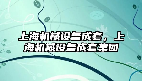 上海機械設備成套，上海機械設備成套集團