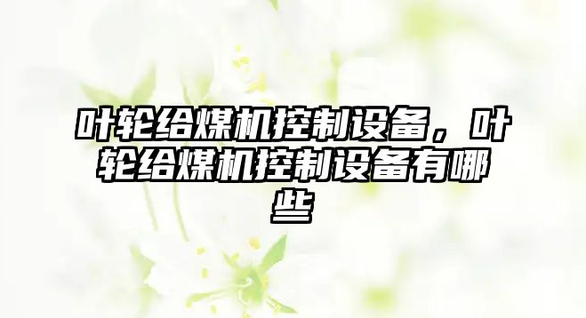 葉輪給煤機控制設備，葉輪給煤機控制設備有哪些