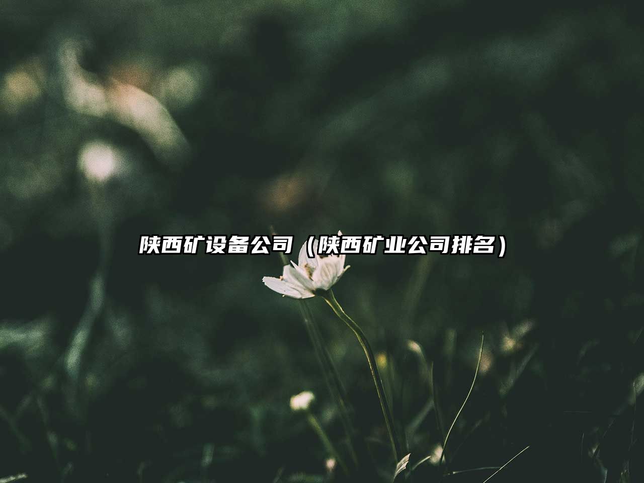 陜西礦設備公司（陜西礦業(yè)公司排名）