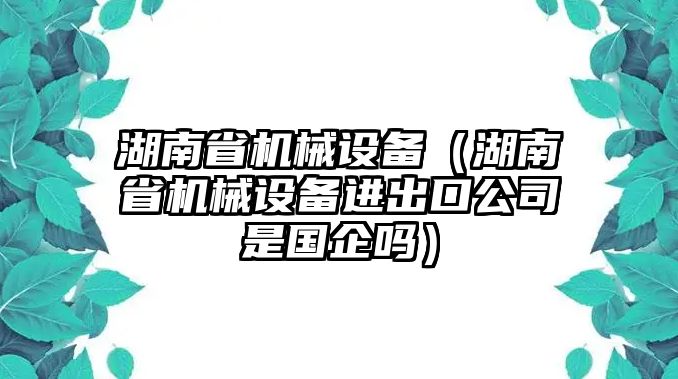 湖南省機械設備（湖南省機械設備進(jìn)出口公司是國企嗎）