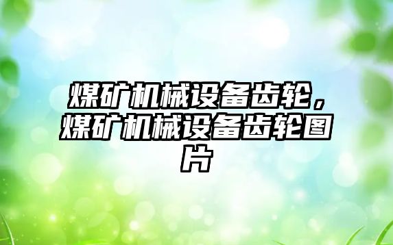 煤礦機械設備齒輪，煤礦機械設備齒輪圖片