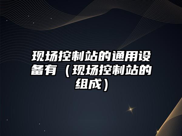 現場(chǎng)控制站的通用設備有（現場(chǎng)控制站的組成）