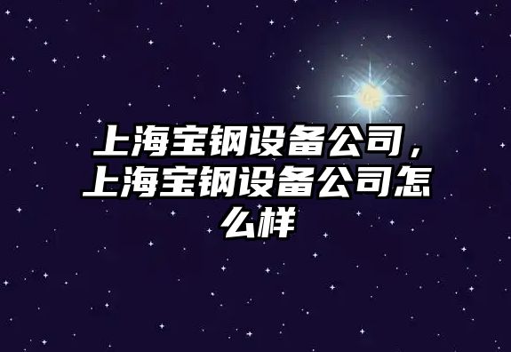 上海寶鋼設備公司，上海寶鋼設備公司怎么樣