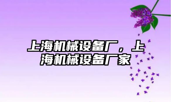 上海機械設備廠(chǎng)，上海機械設備廠(chǎng)家