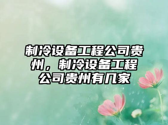 制冷設備工程公司貴州，制冷設備工程公司貴州有幾家