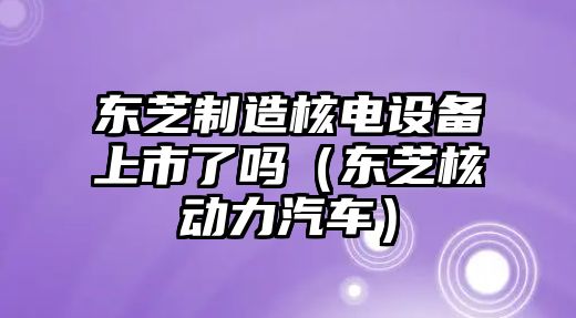 東芝制造核電設備上市了嗎（東芝核動(dòng)力汽車(chē)）