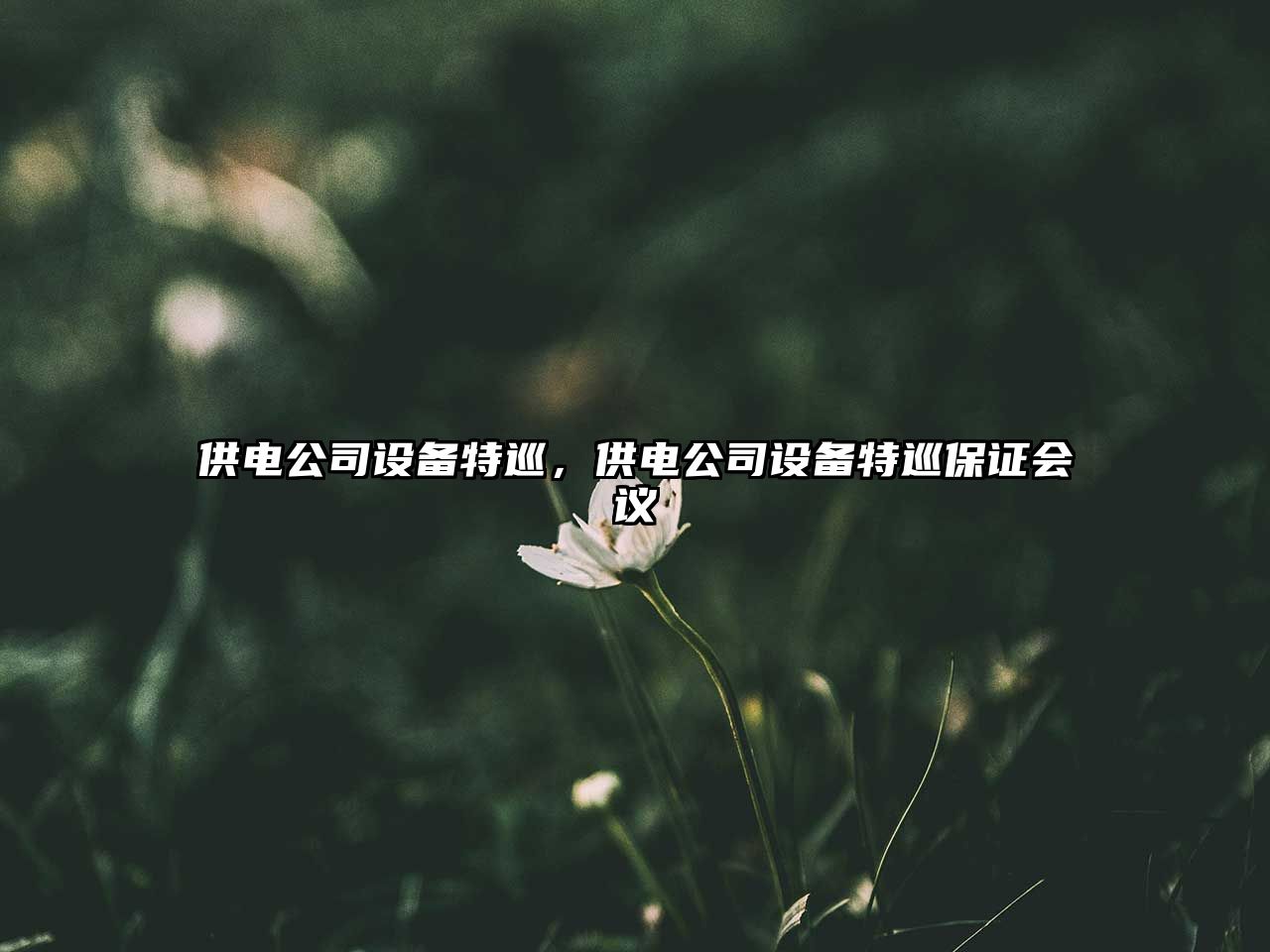 供電公司設備特巡，供電公司設備特巡保證會(huì )議