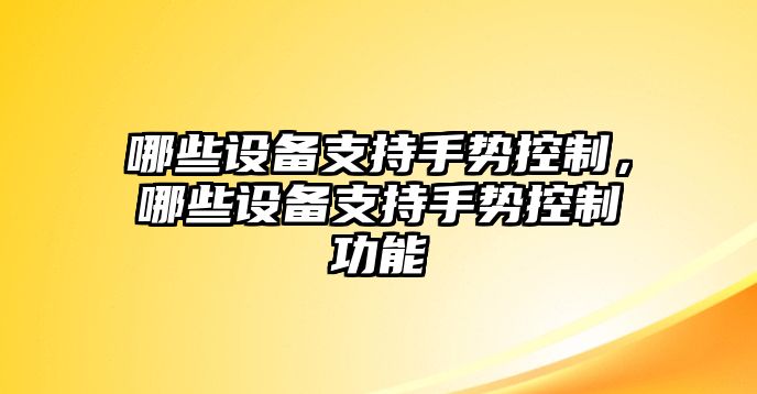 哪些設備支持手勢控制，哪些設備支持手勢控制功能