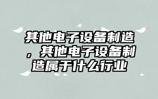 其他電子設備制造，其他電子設備制造屬于什么行業(yè)