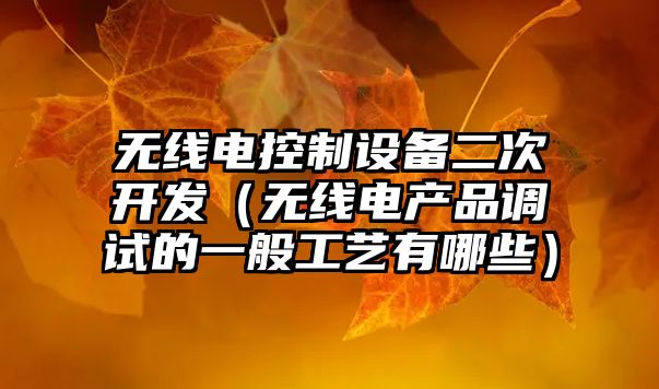 無(wú)線(xiàn)電控制設備二次開(kāi)發(fā)（無(wú)線(xiàn)電產(chǎn)品調試的一般工藝有哪些）