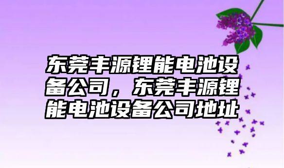東莞豐源鋰能電池設備公司，東莞豐源鋰能電池設備公司地址