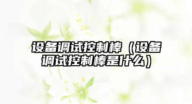 設備調試控制棒（設備調試控制棒是什么）