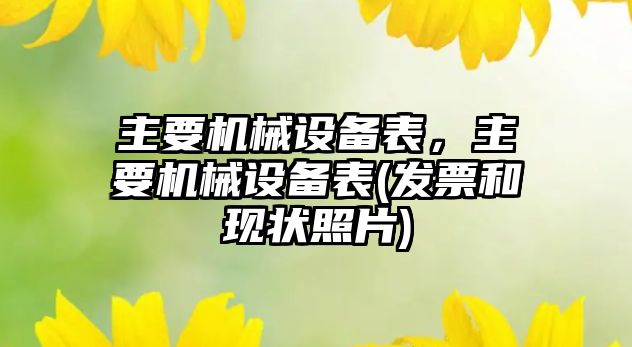 主要機械設備表，主要機械設備表(發(fā)票和現狀照片)