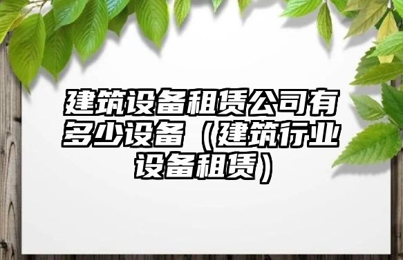 建筑設備租賃公司有多少設備（建筑行業(yè)設備租賃）