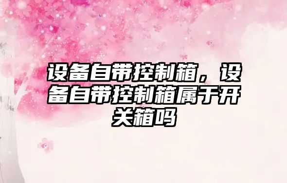 設備自帶控制箱，設備自帶控制箱屬于開(kāi)關(guān)箱嗎