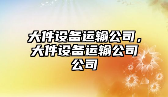 大件設備運輸公司，大件設備運輸公司公司