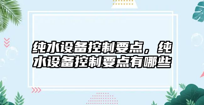 純水設備控制要點(diǎn)，純水設備控制要點(diǎn)有哪些