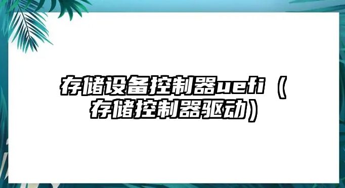 存儲設備控制器uefi（存儲控制器驅動(dòng)）