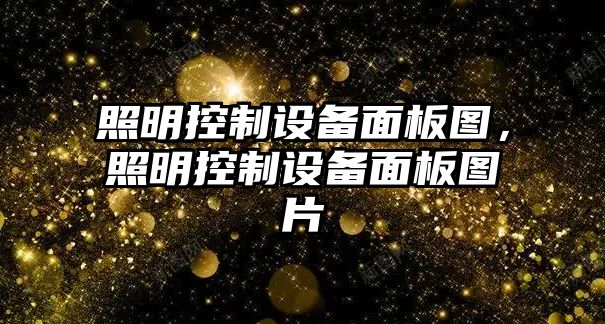 照明控制設備面板圖，照明控制設備面板圖片