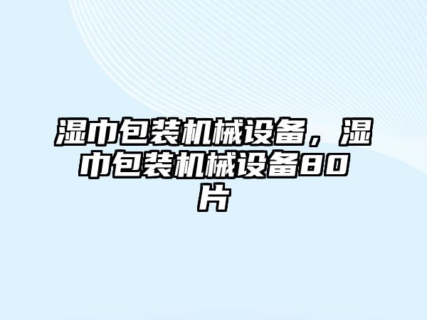 濕巾包裝機械設備，濕巾包裝機械設備80片