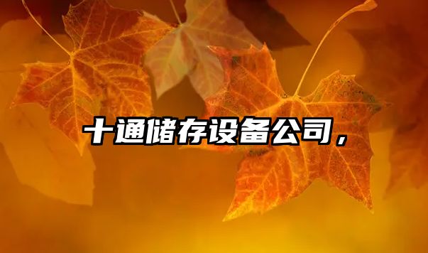 十通儲存設備公司，