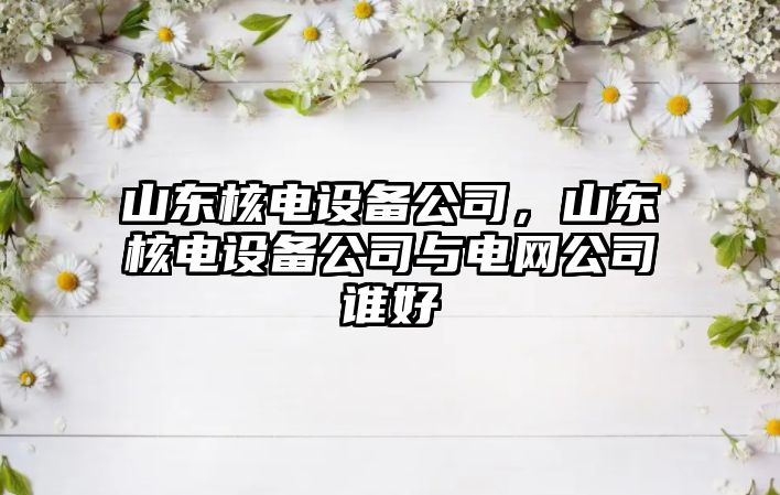 山東核電設備公司，山東核電設備公司與電網(wǎng)公司誰(shuí)好