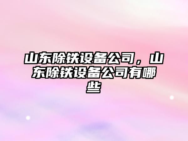 山東除鐵設備公司，山東除鐵設備公司有哪些