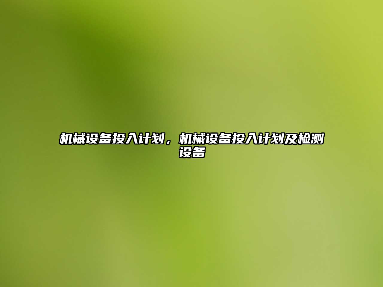 機械設備投入計劃，機械設備投入計劃及檢測設備
