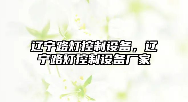 遼寧路燈控制設備，遼寧路燈控制設備廠(chǎng)家