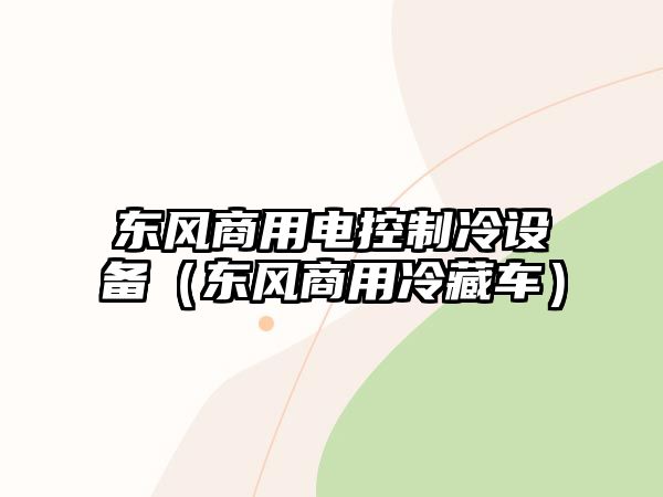 東風(fēng)商用電控制冷設備（東風(fēng)商用冷藏車(chē)）