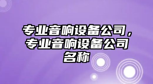 專(zhuān)業(yè)音響設備公司，專(zhuān)業(yè)音響設備公司名稱(chēng)