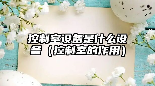 控制室設備是什么設備（控制室的作用）