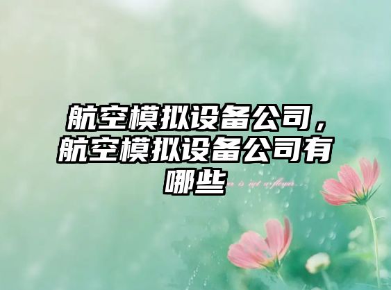 航空模擬設備公司，航空模擬設備公司有哪些