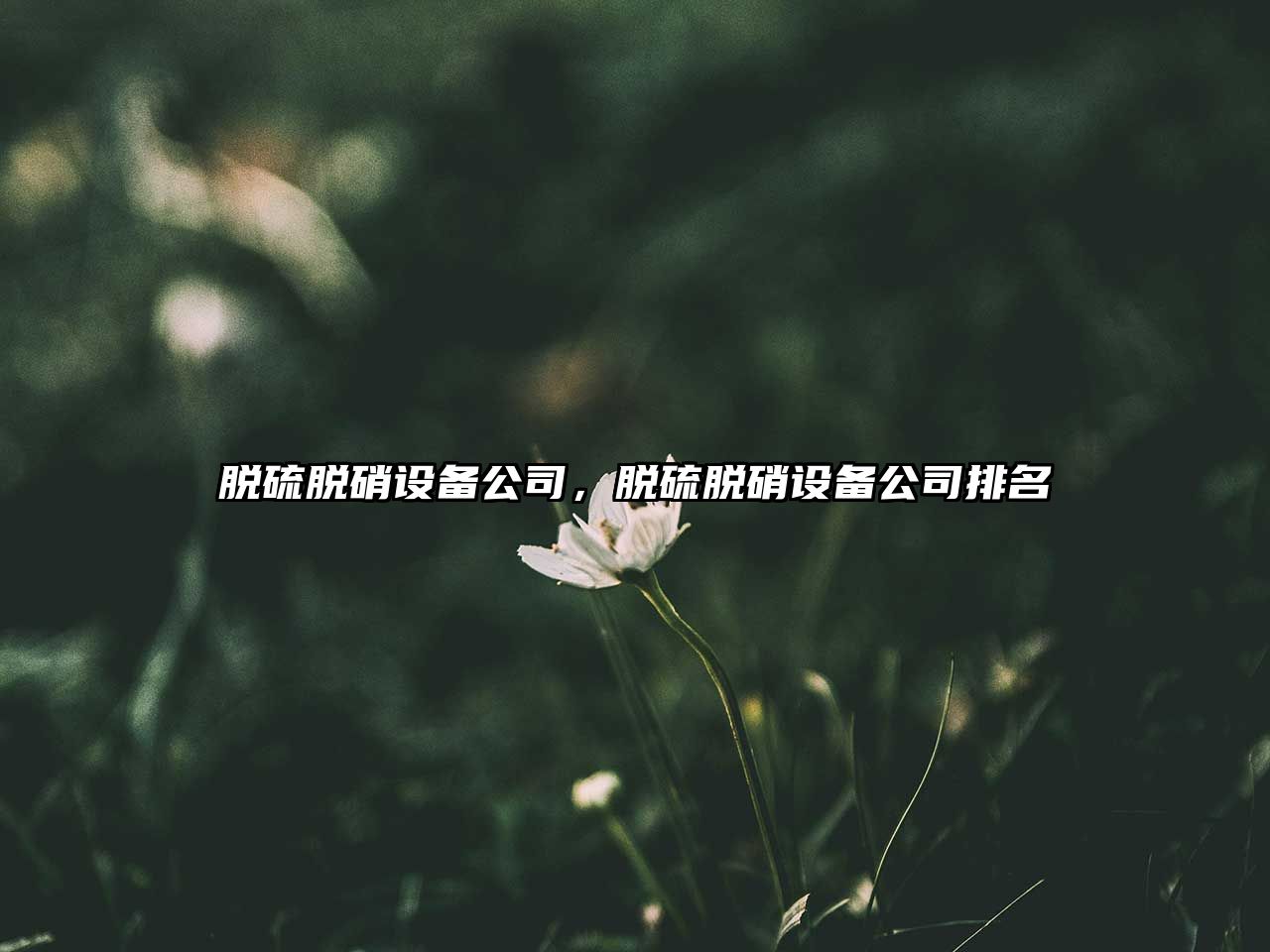 脫硫脫硝設備公司，脫硫脫硝設備公司排名
