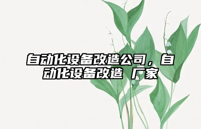 自動(dòng)化設備改造公司，自動(dòng)化設備改造 廠(chǎng)家
