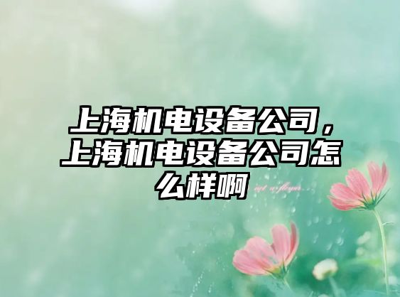 上海機電設備公司，上海機電設備公司怎么樣啊
