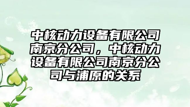 中核動(dòng)力設備有限公司南京分公司，中核動(dòng)力設備有限公司南京分公司與浦原的關(guān)系