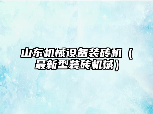 山東機械設備裝磚機（最新型裝磚機械）