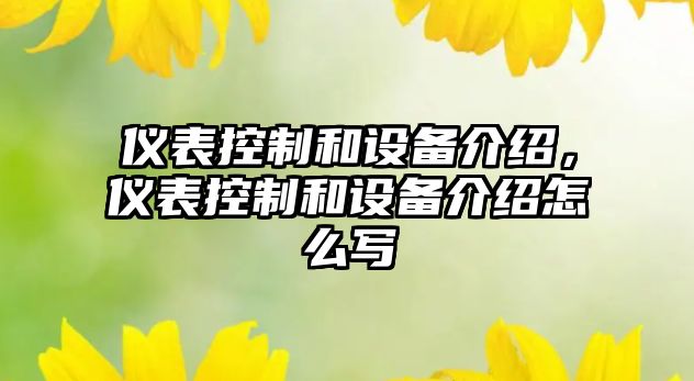 儀表控制和設備介紹，儀表控制和設備介紹怎么寫(xiě)