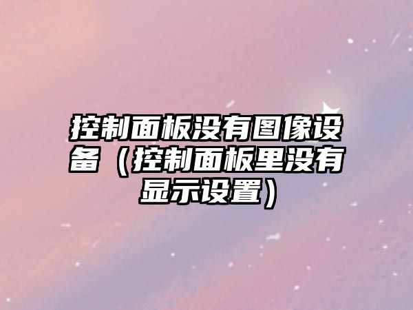 控制面板沒(méi)有圖像設備（控制面板里沒(méi)有顯示設置）