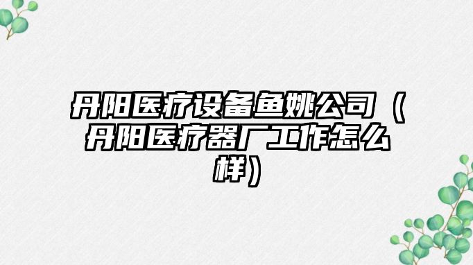 丹陽(yáng)醫療設備魚(yú)姚公司（丹陽(yáng)醫療器廠(chǎng)工作怎么樣）