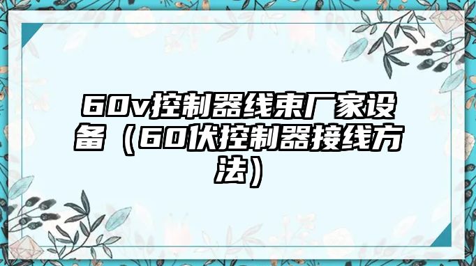 60v控制器線(xiàn)束廠(chǎng)家設備（60伏控制器接線(xiàn)方法）