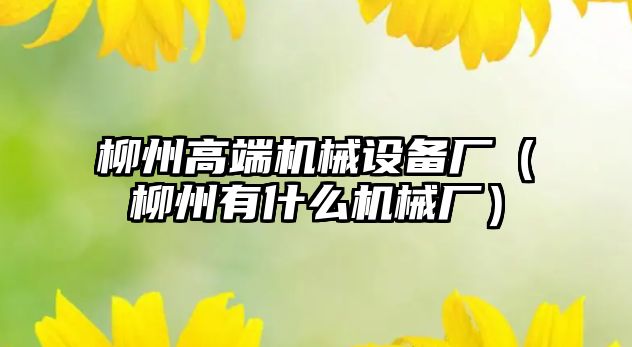 柳州高端機械設備廠(chǎng)（柳州有什么機械廠(chǎng)）