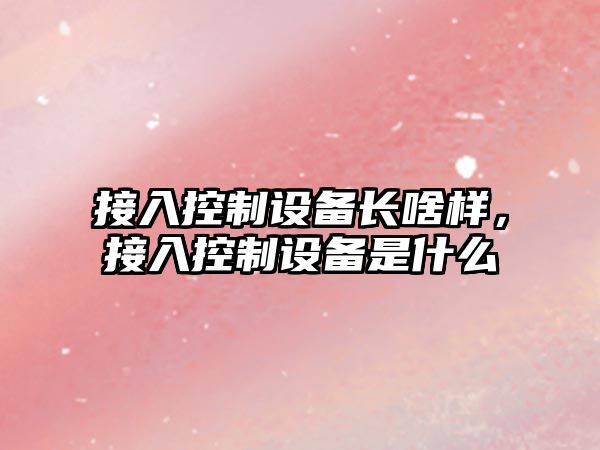 接入控制設備長(cháng)啥樣，接入控制設備是什么