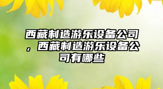西藏制造游樂(lè )設備公司，西藏制造游樂(lè )設備公司有哪些