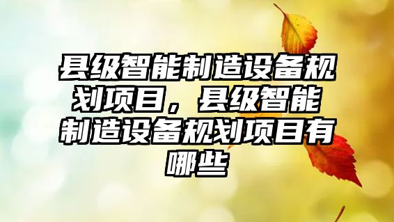縣級智能制造設備規劃項目，縣級智能制造設備規劃項目有哪些